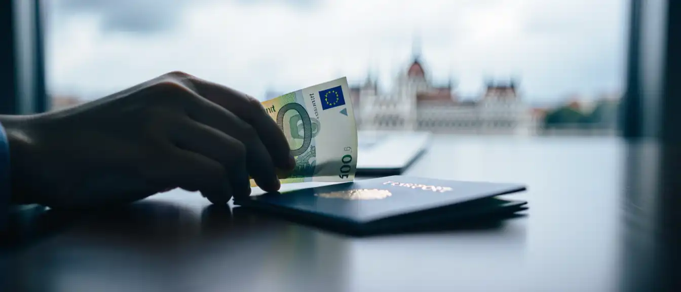 Перспективы вхождения Венгрии в еврозону: официальные лица называют временные рамки перехода на новую валюту