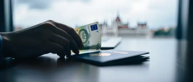 Перспективы вхождения Венгрии в еврозону: официальные лица называют временные рамки перехода на новую валюту